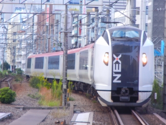 JR東日本E259系電車 成田エクスプレス(特急) 鉄道フォト・写真 by Akaiさん 恵比寿駅 (JR)：2023年10月14日15時ごろ