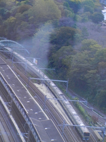 JR東日本E231系電車 鉄道フォト・写真 by Akaiさん 王子駅 (JR)：2023年10月22日11時ごろ