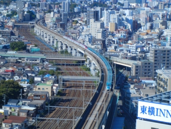 JR東日本 E5系新幹線電車 鉄道フォト・写真 by Akaiさん 王子駅 (JR)：2023年10月22日12時ごろ