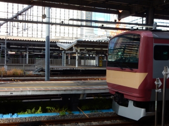 JR東日本 クハE530形 クハE530-23 鉄道フォト・写真 by Akaiさん 品川駅 (JR)：2024年02月11日09時ごろ