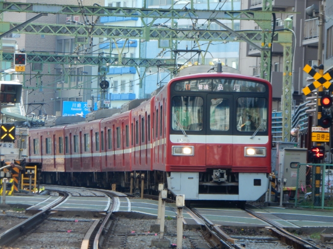 鉄道フォト・写真：京急電鉄 京急1500形電車 1596 北品川駅 鉄道フォト・写真 by Akaiさん - 撮影日 2024/04/07 14:36