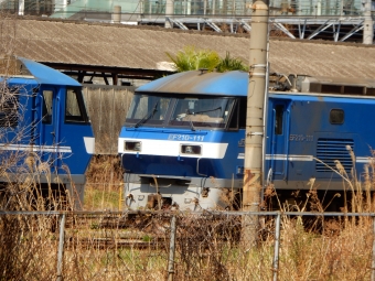 JR貨物 EF210形 EF210-111 鉄道フォト・写真 by Akaiさん 新川崎駅：2024年04月13日10時ごろ