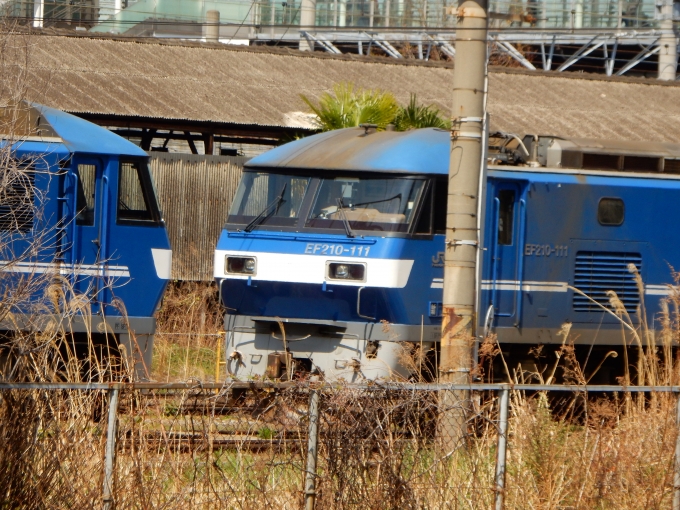 鉄道フォト・写真：JR貨物EF210形電気機関車 EF210-111 新川崎駅 鉄道フォト・写真 by Akaiさん - 撮影日 2024/04/13 10:11