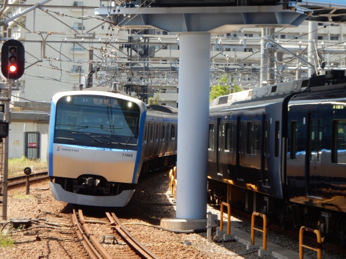 鉄道フォト・写真：相模鉄道 相鉄11000系電車 11005 西横浜駅 鉄道フォト・写真 by Akai  ふぅさん - 撮影日 2024/05/05 11:26