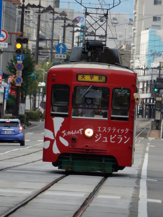 富山地方鉄道 7019 (富山地鉄7000形) 車両ガイド | レイルラボ(RailLab)