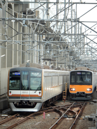 古銅 蟹置物 特大 2点 東H6-0519☆2Fトヒエカ 古銅 蟹置物 特大 2点 東