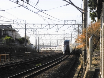 JR東日本E259系電車 鉄道フォト・写真 by suke0920さん 新検見川駅：2023年03月16日04時ごろ