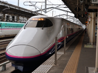 JR東日本 E2系新幹線電車 E224-1117 鉄道フォト・写真 by mattyanさん 福島駅 (福島県|JR)：2023年05月13日16時ごろ