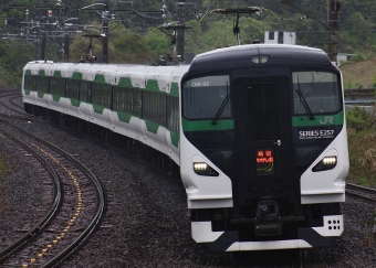 新宿わかしお(特急) 鉄道フォト・写真