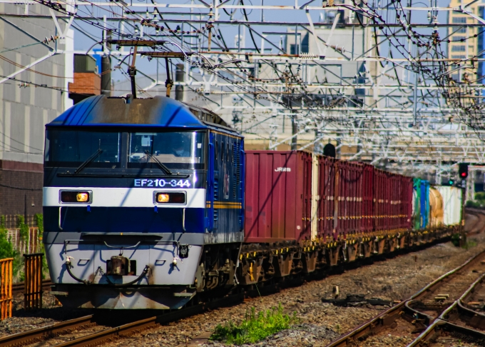 鉄道フォト・写真：JR貨物EF210形電気機関車 EF210-344 西船橋駅 (JR) 鉄道フォト・写真 by JR東日本千葉支社(非公式)さん - 撮影日 2024/07/08 14:46