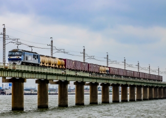 JR貨物 EF210形 EF210-135 鉄道フォト・写真 by JR東日本千葉支社(非公式)さん 鹿島神宮駅：2024年05月27日13時ごろ