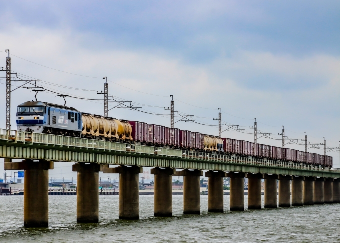 鉄道フォト・写真：JR貨物EF210形電気機関車 EF210-135 鹿島神宮駅 鉄道フォト・写真 by JR東日本千葉支社(非公式)さん - 撮影日 2024/05/27 13:08