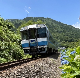 剣山(特急) 鉄道フォト・写真