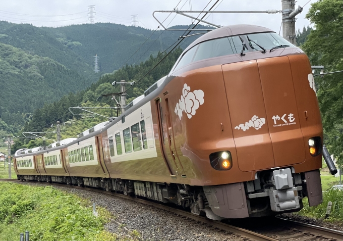 JR西日本273系 やくも 鉄道フォト・写真 by 紅姫さん ：2024年05月30日09時ごろ