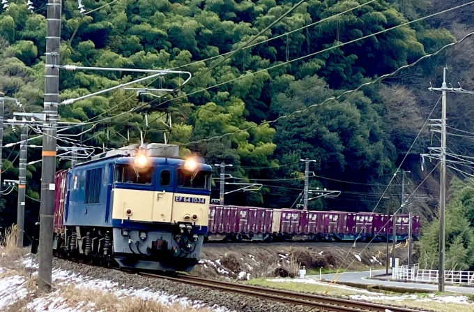 JR貨物 国鉄EF64形電気機関車 EF64 1034 鉄道フォト・写真 by 紅姫さん ：2024年03月03日13時ごろ