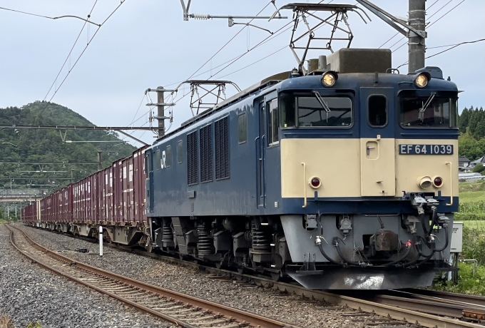 JR貨物 国鉄EF64形電気機関車 EF64 1039 鉄道フォト・写真 by 紅姫さん ：2024年05月30日14時ごろ