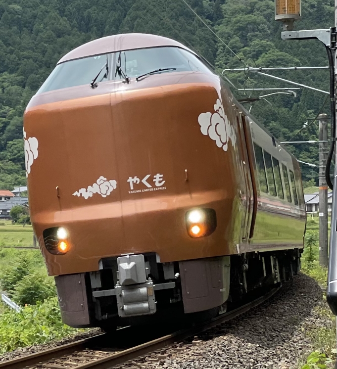 JR西日本273系 やくも 鉄道フォト・写真 by 紅姫さん ：2024年05月30日12時ごろ