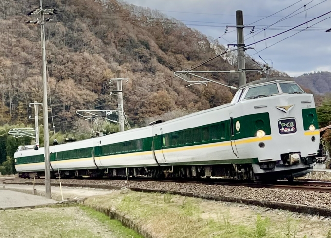 JR西日本 国鉄381系電車 やくも 381系 鉄道フォト・写真 by 紅姫さん ：2023年12月02日13時ごろ