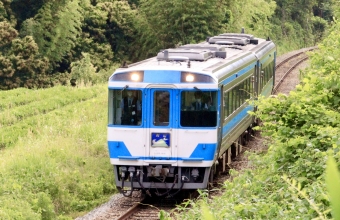 キハ185-1016 鉄道フォト・写真