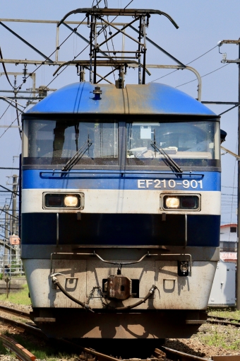 JR貨物 EF210 EF210-910 鉄道フォト・写真 by Muchikoさん 伊予土居駅：2023年07月02日13時ごろ