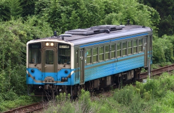 キハ54 2 鉄道フォト・写真