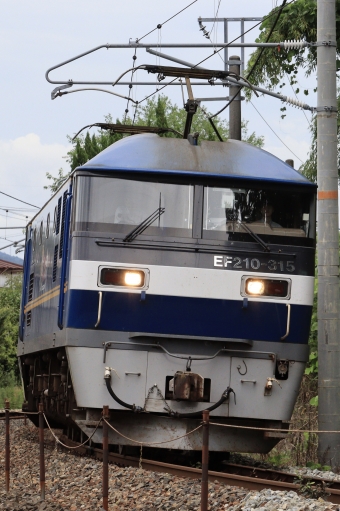 JR貨物 EF210形 EF210-315 鉄道フォト・写真 by Muchikoさん 西高屋駅：2023年08月14日11時ごろ