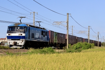 EF210-146 鉄道フォト・写真