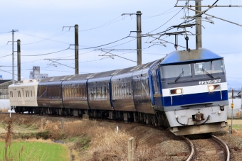 EF210-307 鉄道フォト・写真