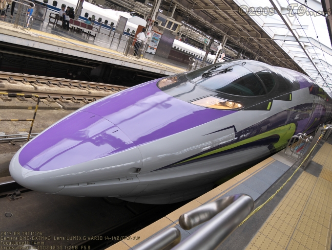 JR西日本 500系新幹線 鉄道フォト・写真 by T@moriさん 新大阪駅 (JR)：2017年09月19日11時ごろ