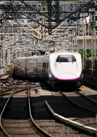 JR東日本 E223形(T1c) E223-1024 鉄道フォト・写真 by T@moriさん 東京駅 (JR)：2024年05月02日11時ごろ