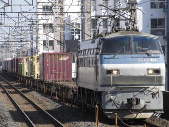 JR貨物 国鉄EF66形電気機関車 EF66 117 鉄道フォト・写真 by 月形 凪さん 南浦和駅：2023年02月12日11時ごろ