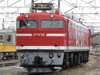 JR東日本 国鉄EF81形電気機関車 EF81-95 鉄道フォト・写真 by 月形 凪さん 田端駅：2022年03月26日12時ごろ