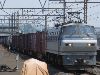 JR貨物 国鉄EF66形電気機関車 EF66 128 鉄道フォト・写真 by 月形 凪さん 西浦和駅：2023年07月27日11時ごろ