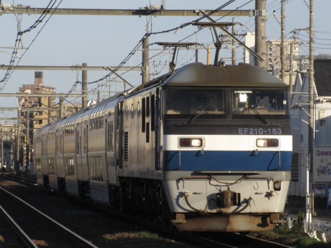 JR貨物 EF210形 EF210-163 鉄道フォト・写真 by 月形 凪さん 北上尾駅：2024年05月14日17時ごろ