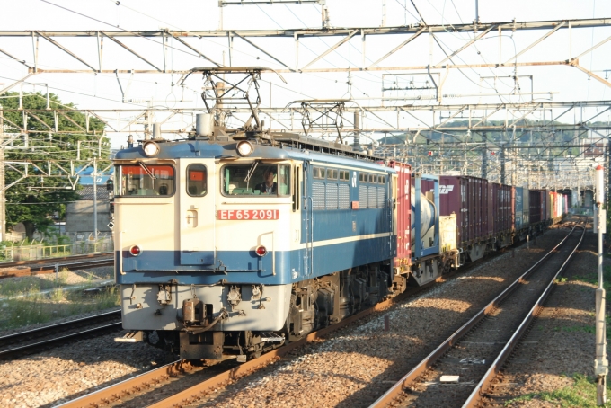 鉄道フォト・写真：JR貨物  EF65−2091 府中本町 鉄道フォト・写真 by ニサゴーさん - 撮影日 2023/05/09 17:38