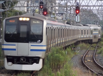 JR東日本 E217系 鉄道フォト・写真 by 活  動  終  了さん 成田駅：2023年06月24日18時ごろ