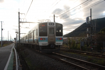 クハ211-2015 鉄道フォト・写真