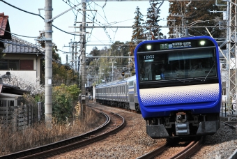 JR東日本 E235系 鉄道フォト・写真 by ドレミファエアさん 北鎌倉駅：2024年02月16日13時ごろ