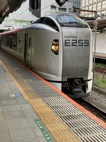 JR東日本 クロE259形 成田エクスプレス(特急) クロE259-1 鉄道フォト・写真 by 線路（クウちゃん）のかなたさん 新宿駅 (JR)：2023年06月18日15時ごろ