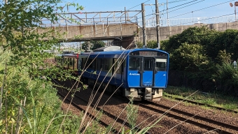 JR東日本 EV-E801系 鉄道フォト・写真 by Suicaさん 土崎駅：2023年08月19日07時ごろ