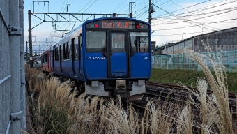 JR東日本 EV-E801系 男鹿なまはげライン 鉄道フォト・写真 by Suicaさん 土崎駅：2023年11月13日13時ごろ