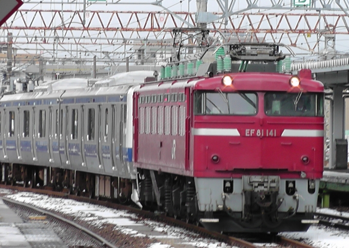 JR東日本 国鉄EF81形電気機関車 EF81-141 鉄道フォト・写真 by Suicaさん 秋田駅：2024年03月21日16時ごろ