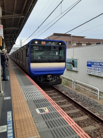 JR東日本 E235系 鉄道フォト・写真 by ケヨニササさん 蘇我駅：2023年06月04日15時ごろ
