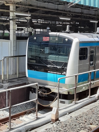 JR東日本 E233系 鉄道フォト・写真 by ケヨニササさん 東京駅 (JR)：2023年06月04日12時ごろ