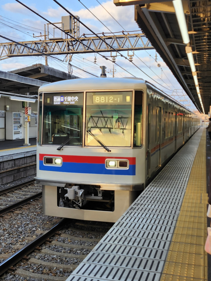 京成電鉄電車カード 2025 06 京成太郎 京成電鉄 2025年6月電車カード