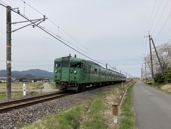 鉄道フォト・写真：JR西日本 国鉄111系電車 クハ111-7703 貴生川駅 (JR) 鉄道フォト・写真 by 暇人さん - 撮影日 2023/03/31 11:23