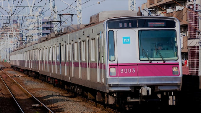 東京メトロ 8003 (営団8000系) 車両ガイド | レイルラボ(RailLab)