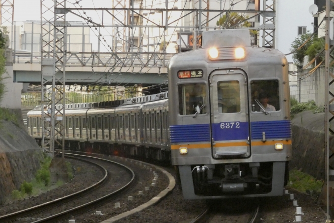 鉄道フォト・写真：南海電鉄 南海6000系電車 6372 帝塚山駅 鉄道フォト・写真 by とざまいさん - 撮影日 2024/08/03 18:24