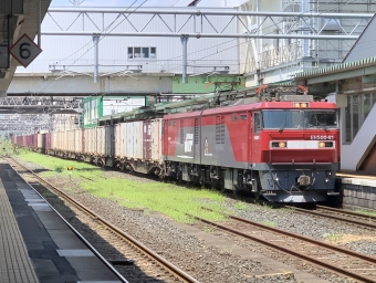 JR貨物EH500形電気機関車 鉄道フォト・写真 by Futarorailさん 盛岡駅 (JR)：2023年08月06日12時ごろ