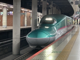 JR東日本 E5系新幹線電車 鉄道フォト・写真 by Futarorailさん 上野駅 (JR)：2023年08月13日19時ごろ